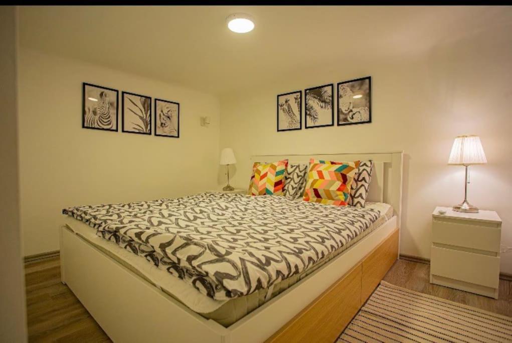 Apartament Cosy Flat In Akacfa Str., Aya Budapeszt Zewnętrze zdjęcie